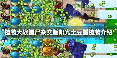 《植物大战僵尸杂交版》阳光土豆雷植物介绍