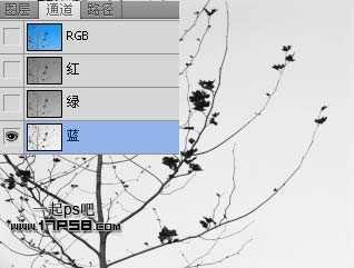 Photoshop抠图教程：通道和计算命令抠图实例