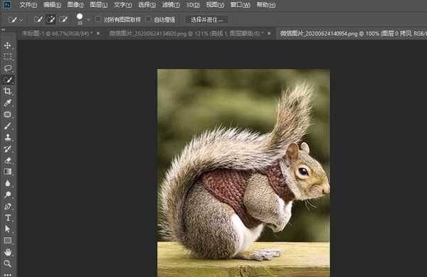 photoshop怎么快速抠动物毛发?PS抠取动物毛发的实用技巧